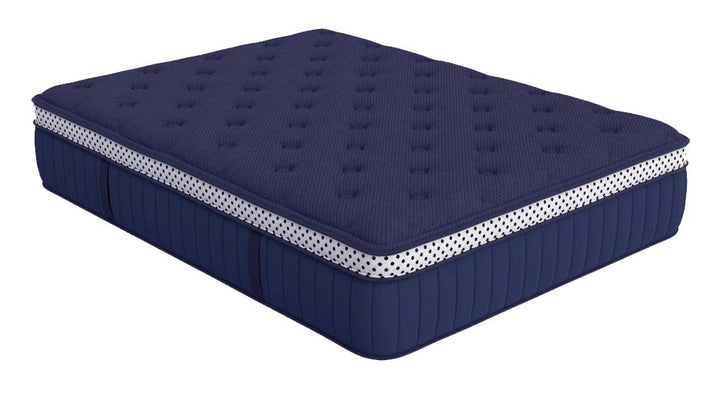 WinkBeds® Blue Collection Series Two Mattress