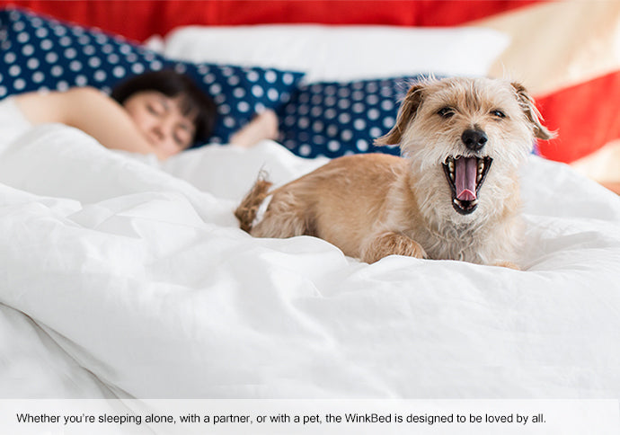 The WinkBed White Firm Mattress by WinkBeds®